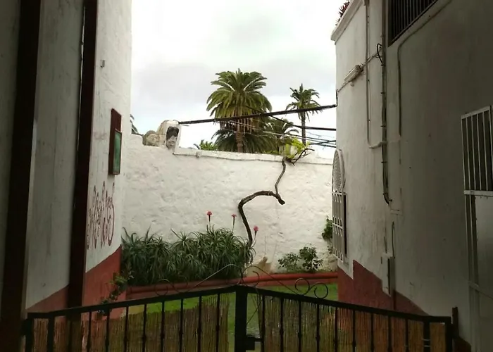 Las Palmas de Gran Canaria Dog Friendly Lodging and Hotels
