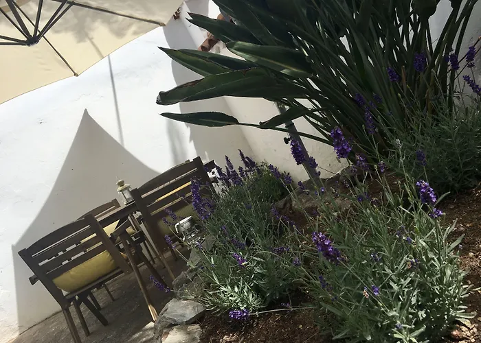 La Casita De Las Palmas Vv