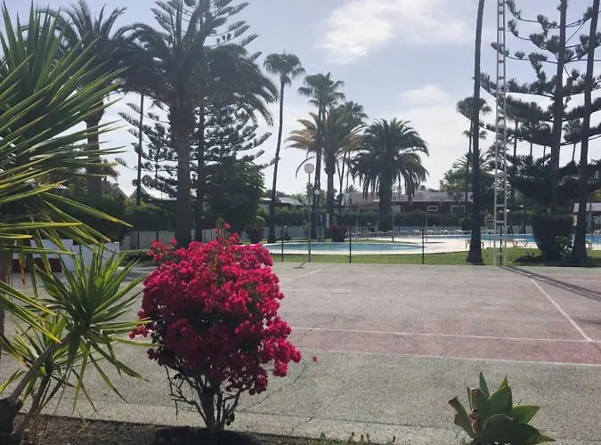 Los Tunos Campo Internacional Villa Maspalomas 